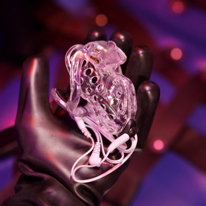 Electro Sound Chastity Cage
